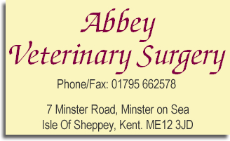 abbey vets animal hospital veterinary services kent